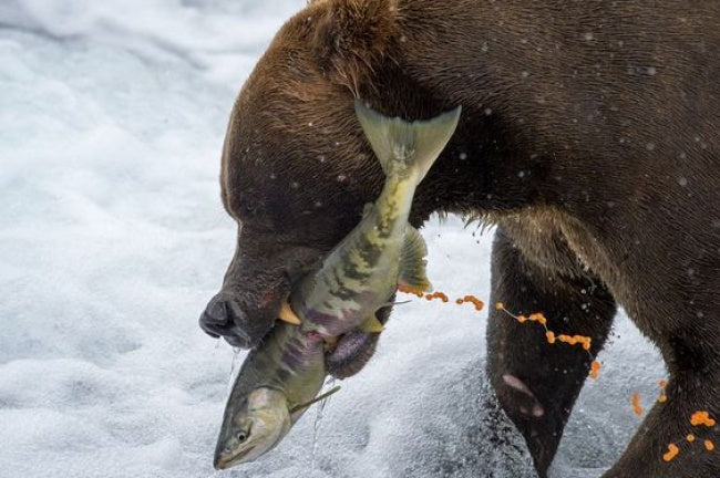 0 National Geographic Contest Photos That Show The Magnificence of Our Planet